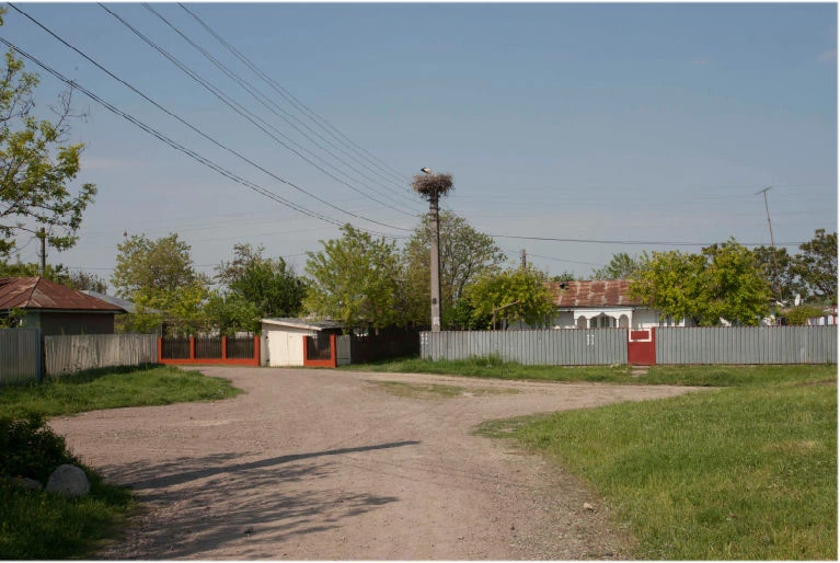 Braniștea, Galați Familypedia Fandom