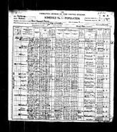 1900 US census