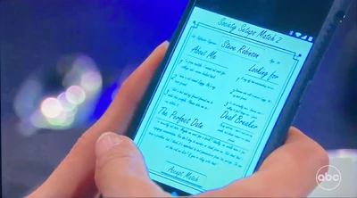 Society Setups - online matchmaker (2022)