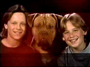 Lucky and dog Foster with cousin Sly