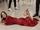 60th Special Sam 2024.webp