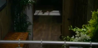 Franco lurks in the bathroom (2011)