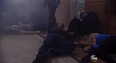 Dante and Lulu unconscious on the floor (2014)