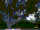 Gregory's Final Rest 2024.gif