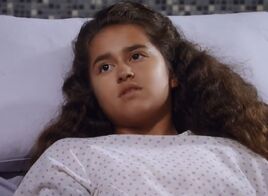 Marisol Valdez (2017)