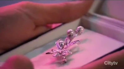 Robinson family brooch - old & borrowed (2023)