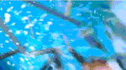 Kristina Falls Into the Pool 2024