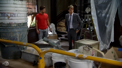 Renovating the Brownstone (2014)