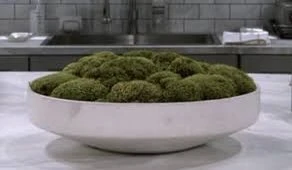 Bowl of moss (2023)