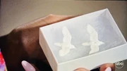 Spencer gives Trina the turtle doves - symbolizing a matched pair that belong together (2023)