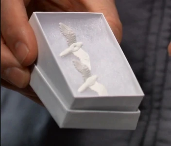 Two turtle doves for Sprina (2022)