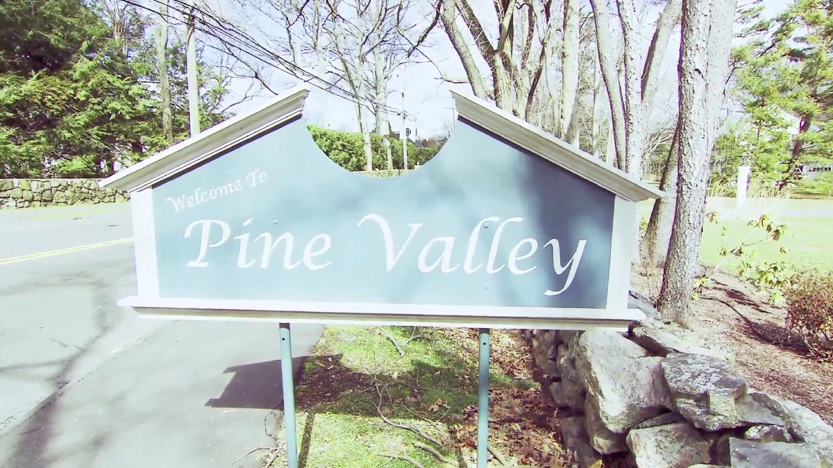 Pine Valley General Hospital Wiki Fandom