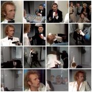 IcePrincess Collage 1981.jpg