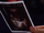 BabyBCsonogram.png