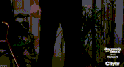 Curtis Walks Again 2024
