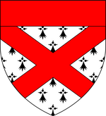 Ermine-saltire-gules-chief-gules