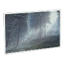 Forest Location.png