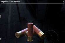 12ga Buckshot Ammo.jpg