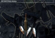 .243 Soft-Point Ammo.jpg