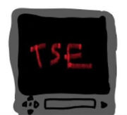 TSEMSPaint