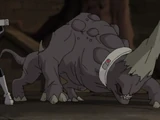 Rhinor