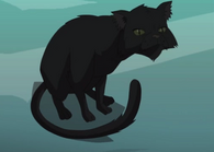 Black Cat profile