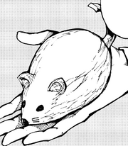 Carved Wooden Mouse.png