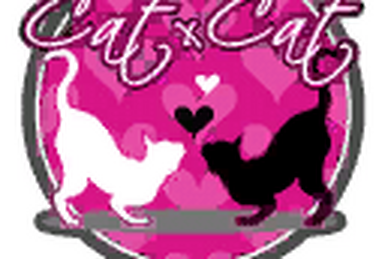 CAT X CAT | Shutokō Battle Rival Database Wiki | Fandom