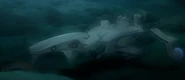 Dolphin III underwater