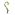"Iluminação Arbórea"