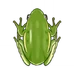 Frog (วัสดุ)