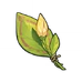 Item Flor Que Ainda Não Floresceu