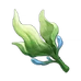 Seagrass