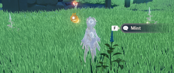 Whopperflowersight