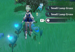 WhopperflowerLampGrass
