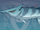 肺棘魚