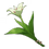 Сесилия