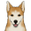 Сиба-ину