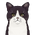 Инспекторская кошка