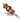 Фруктовые шашлыки