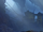 Verlockung des Abgrunds