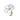 Item "Inicial".png