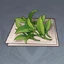 沉玉仙茗