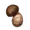 Мацутакэ