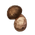 Мацутакэ