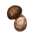 Предмет Мацутакэ