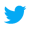 Twitter Icon