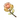 Маркот