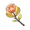 Маркот