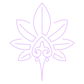 Flabellum Shape